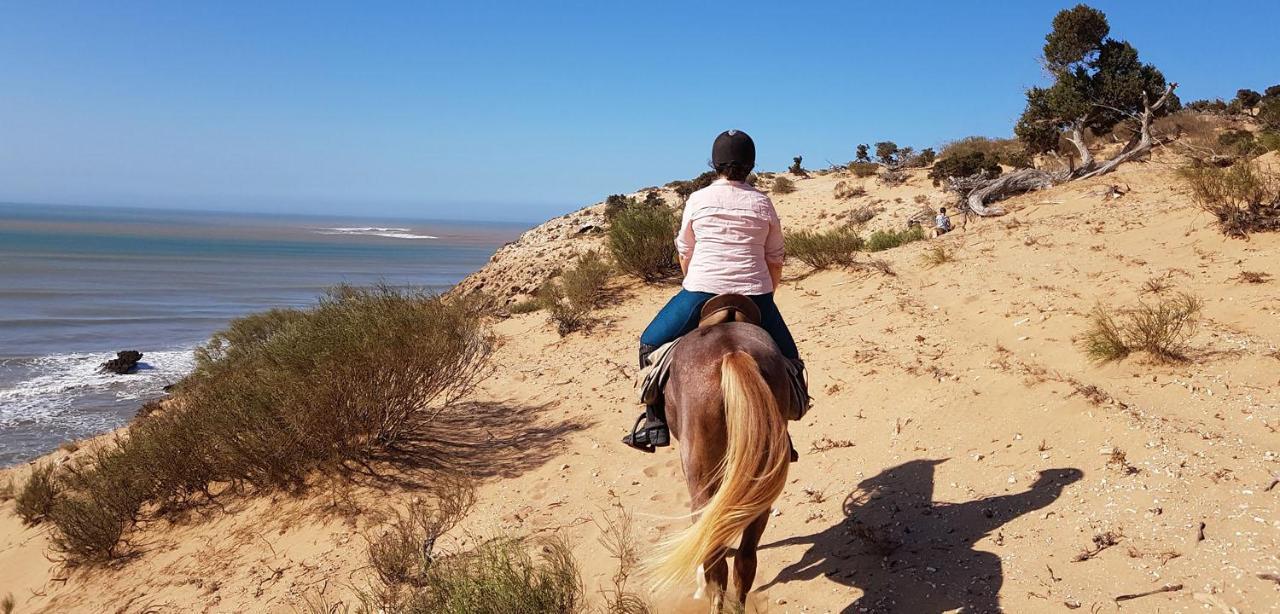 Ostello Surf Housemaroc