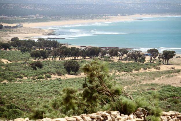 Surf Housemaroc